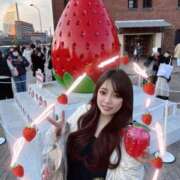 たずね Quality Of Life 🍀🩵 ティアラ