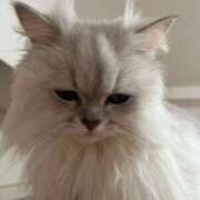 ヒメ日記 2025/06/02 17:09 投稿 りおん ティアラ