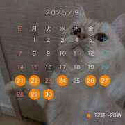 ヒメ日記 2025/08/22 16:01 投稿 りおん ティアラ