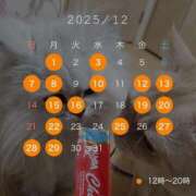 ヒメ日記 2025/11/14 22:59 投稿 りおん ティアラ