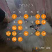 ヒメ日記 2026/02/24 13:25 投稿 りおん ティアラ