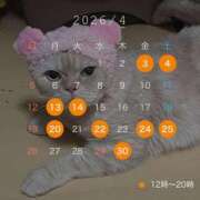 ヒメ日記 2026/03/23 16:53 投稿 りおん ティアラ