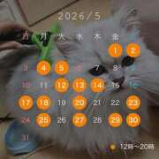 ヒメ日記 2026/04/19 17:05 投稿 りおん ティアラ