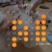 ヒメ日記 2026/07/22 10:52 投稿 りおん ティアラ