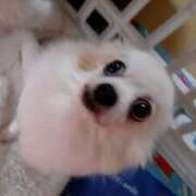 ヒメ日記 2025/10/29 18:39 投稿 あまね 素人妻御奉仕倶楽部Hip's松戸店