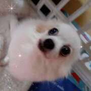 ヒメ日記 2025/11/03 13:09 投稿 あまね 素人妻御奉仕倶楽部Hip's松戸店