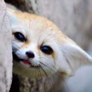 あまね 忘れてたー(^o^;) 素人妻御奉仕倶楽部Hip's松戸店