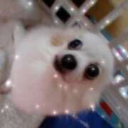 ヒメ日記 2025/12/19 20:49 投稿 あまね 素人妻御奉仕倶楽部Hip's松戸店