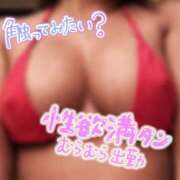 ヒメ日記 2025/04/22 14:30 投稿 しおん One More奥様　横浜関内店