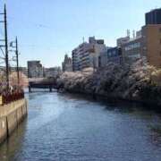 ヒメ日記 2026/04/03 17:05 投稿 しおん One More奥様　横浜関内店