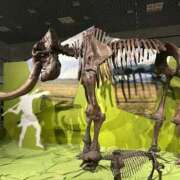 ヒメ日記 2025/10/06 16:15 投稿 らぶ ティアラ