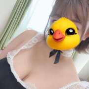 ヒメ日記 2025/06/17 07:45 投稿 れおん ティアラ