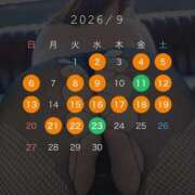 ヒメ日記 2026/08/31 16:16 投稿 れおん ティアラ