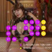 ヒメ日記 2025/03/02 02:24 投稿 かりん ティアラ