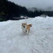 ヒメ日記 2025/03/05 18:46 投稿 さくら ティアラ