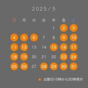 ヒメ日記 2025/04/05 09:01 投稿 さくら ティアラ