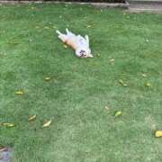 ヒメ日記 2025/08/28 10:40 投稿 さくら ティアラ