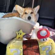 ヒメ日記 2026/02/18 10:07 投稿 さくら ティアラ