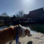 ヒメ日記 2026/02/19 16:33 投稿 さくら ティアラ