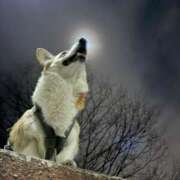 ヒメ日記 2026/03/02 09:00 投稿 さくら ティアラ