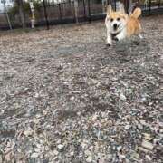 ヒメ日記 2026/03/10 12:11 投稿 さくら ティアラ