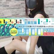 ヒメ日記 2025/11/02 09:02 投稿 さえこ 千葉人妻花壇