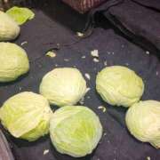 ヒメ日記 2025/06/21 11:38 投稿 きょうこ ダイナマイト（鶯谷）