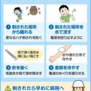 ヒメ日記 2025/07/21 08:44 投稿 きょうこ ダイナマイト（鶯谷）