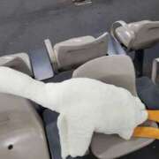 ヒメ日記 2025/10/21 04:47 投稿 きょうこ ダイナマイト（鶯谷）