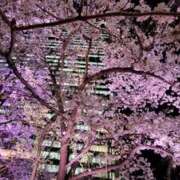 ヒメ日記 2026/04/02 19:04 投稿 きょうこ ダイナマイト（鶯谷）