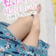 ヒメ日記 2024/12/15 09:03 投稿 ふうか 熟女の風俗最終章 池袋店