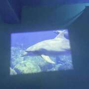 ヒメ日記 2025/09/21 18:25 投稿 すい 西川口ぷよステーション