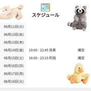 ヒメ日記 2024/06/11 06:00 投稿 ゆづる 世界のあんぷり亭 錦糸町店