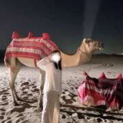 ヒメ日記 2025/01/08 15:15 投稿 あいり『Premium』 Gossip girl成田店