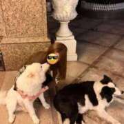 ヒメ日記 2025/01/15 20:31 投稿 あいり『Premium』 Gossip girl成田店