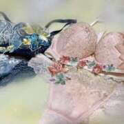 ヒメ日記 2025/04/23 20:20 投稿 柊木ななみ お姉さんCLUB