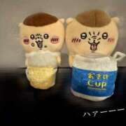 ヒメ日記 2026/02/12 17:12 投稿 柊木ななみ お姉さんCLUB