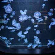 ヒメ日記 2026/02/12 18:34 投稿 柊木ななみ お姉さんCLUB