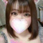 ヒメ日記 2024/12/22 11:41 投稿 まほ サンキュー沼津店（サンキューグループ）