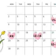 ヒメ日記 2026/03/04 16:54 投稿 【涼宮 ゆず】 梅田ムチSpa女学院