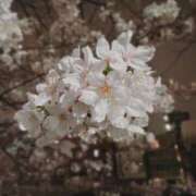 ヒメ日記 2025/04/06 23:07 投稿 みりや 全裸のいいなり美女OR満員ちかん電車