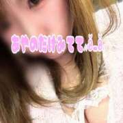 ヒメ日記 2025/03/14 23:23 投稿 あやの 横浜風俗 横浜いきなりビンビン伝説