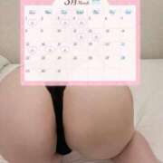 ヒメ日記 2026/03/01 09:30 投稿 あやの 横浜風俗 横浜いきなりビンビン伝説