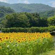 ヒメ日記 2025/07/30 14:02 投稿 みなみ ジャパンクラブ富士