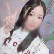 ヒメ日記 2025/12/31 05:32 投稿 みなみ ジャパンクラブ富士