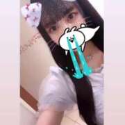 ヒメ日記 2024/12/10 07:34 投稿 なの チューリップ福井本館