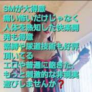 セイラ 前立腺、精嚢でドライ難民には必ず原因あり❗❗ 名古屋Ｍ性感 ルーフ倶楽部