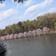 ヒメ日記 2025/04/07 20:54 投稿 セイラ 名古屋Ｍ性感 ルーフ倶楽部