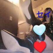 ヒメ日記 2025/09/19 08:52 投稿 セイラ 名古屋Ｍ性感 ルーフ倶楽部