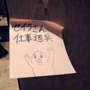 ヒメ日記 2025/10/28 12:01 投稿 セイラ 名古屋Ｍ性感 ルーフ倶楽部